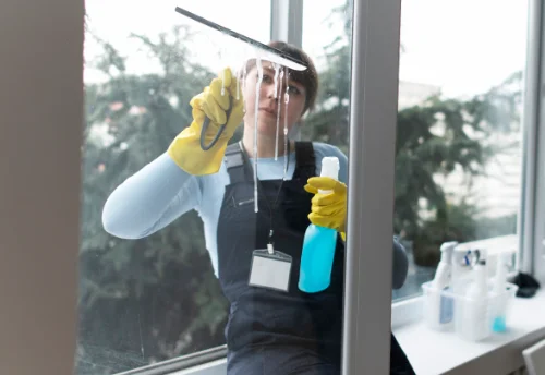Nettoyage de vitres intérieures et extérieures à Paussac-et-Saint-Vivien